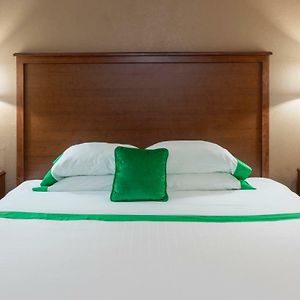 One King Bed